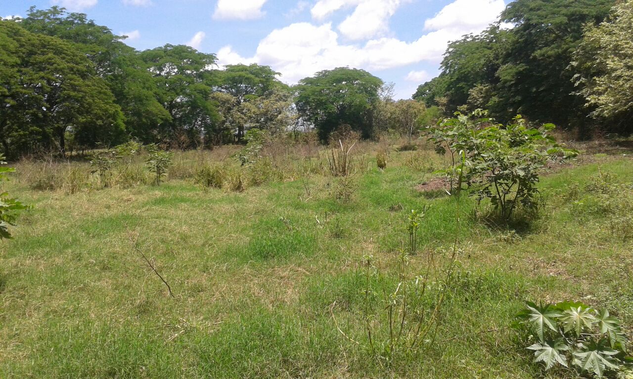 VIP Housing | Bienes Raices y Relocation