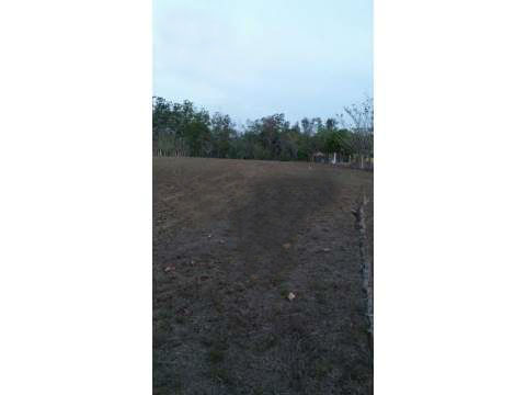 VIP Housing | Bienes Raices y Relocation