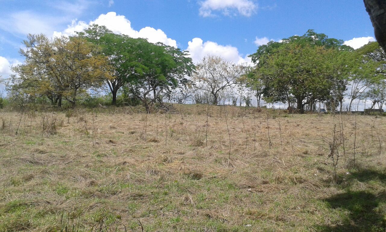 VIP Housing | Bienes Raices y Relocation