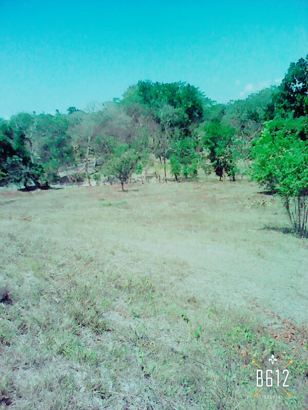 VIP Housing | Bienes Raices y Relocation