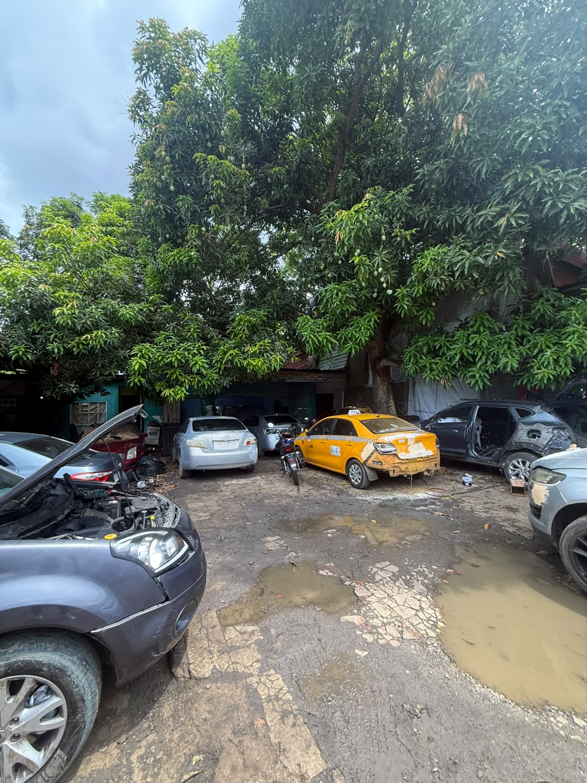 VIP Housing | Bienes Raices y Relocation