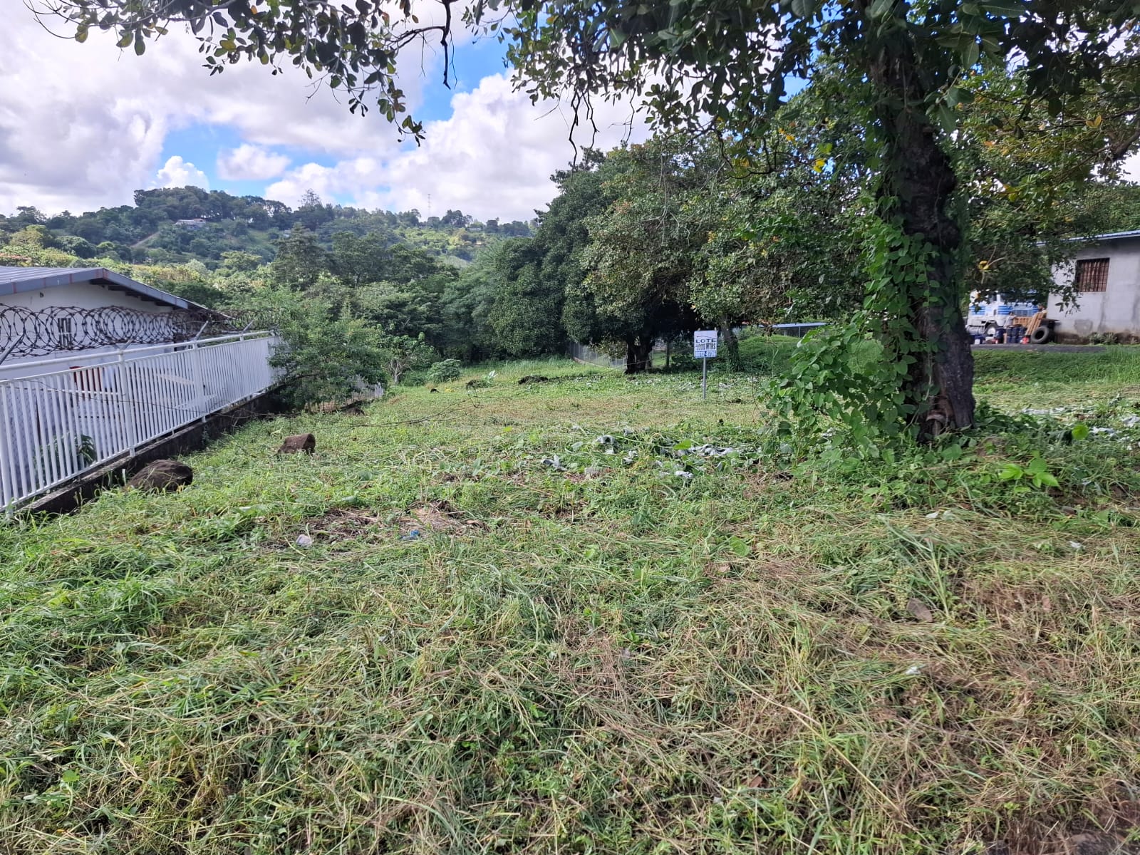 VIP Housing | Bienes Raices y Relocation