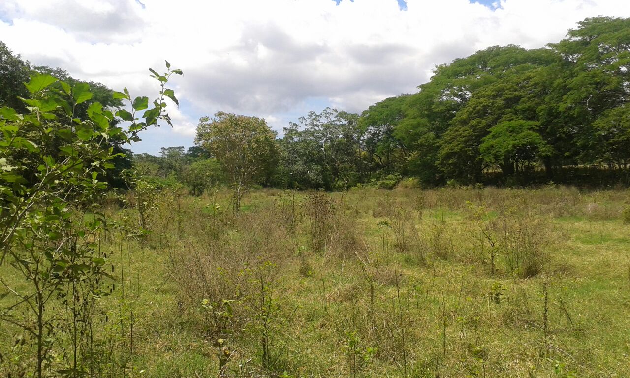 VIP Housing | Bienes Raices y Relocation