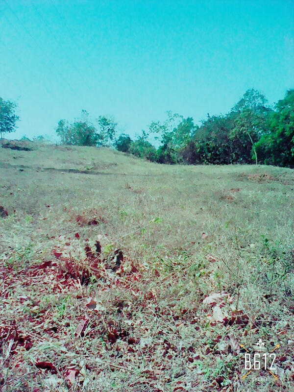 VIP Housing | Bienes Raices y Relocation