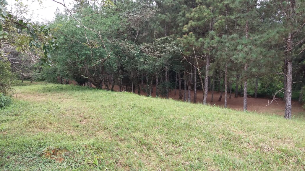 VIP Housing | Bienes Raices y Relocation