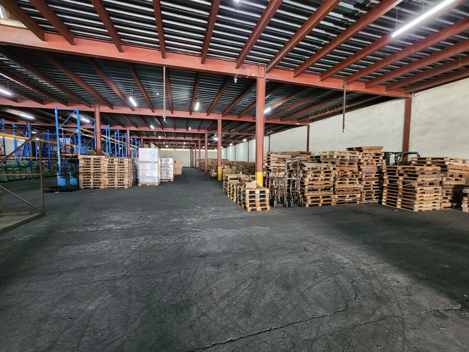 VIP Housing | Bienes Raices y Relocation