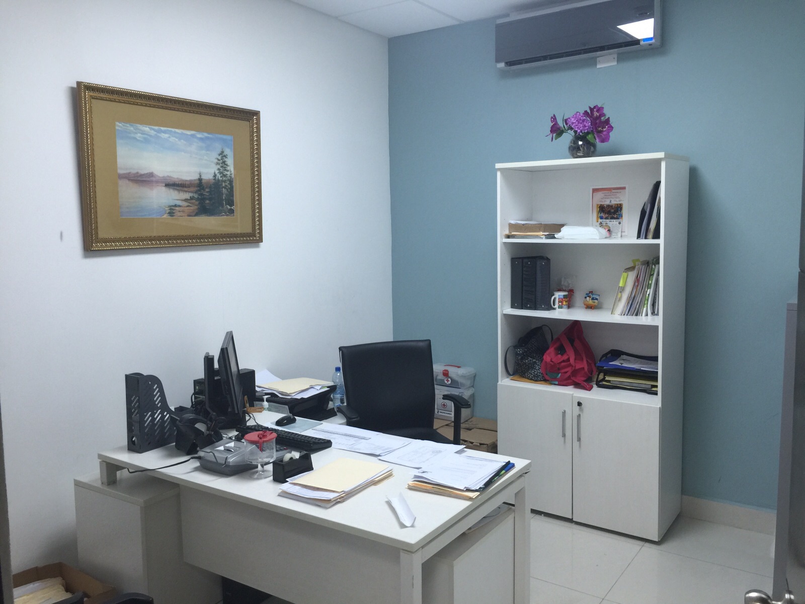 VIP Housing | Bienes Raices y Relocation