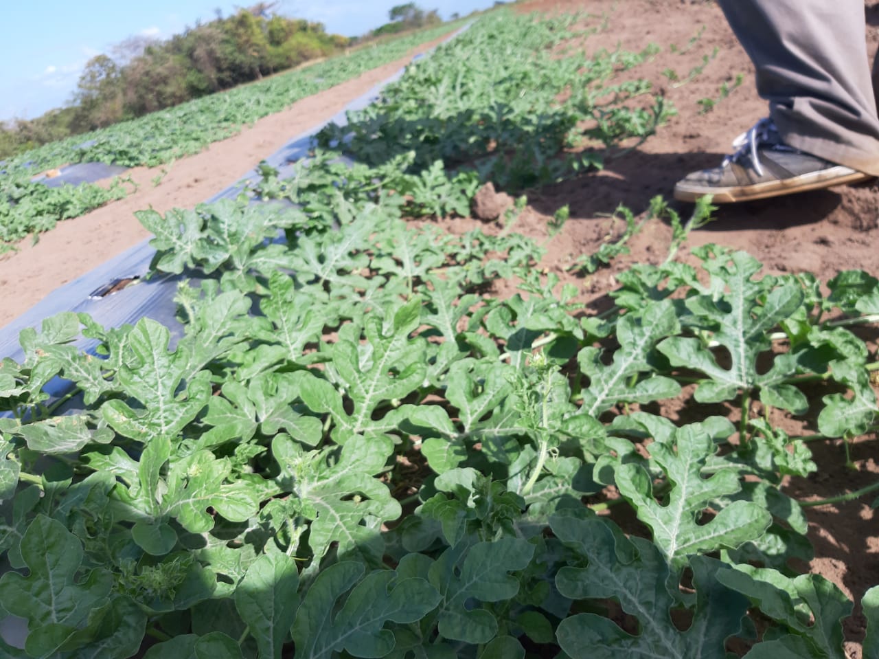 VIP Housing | Bienes Raices y Relocation