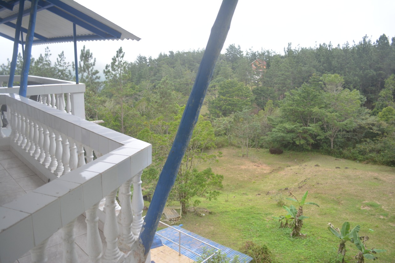 VIP Housing | Bienes Raices y Relocation