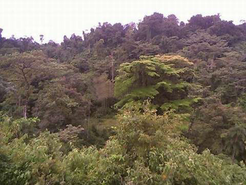 VIP Housing | Bienes Raices y Relocation