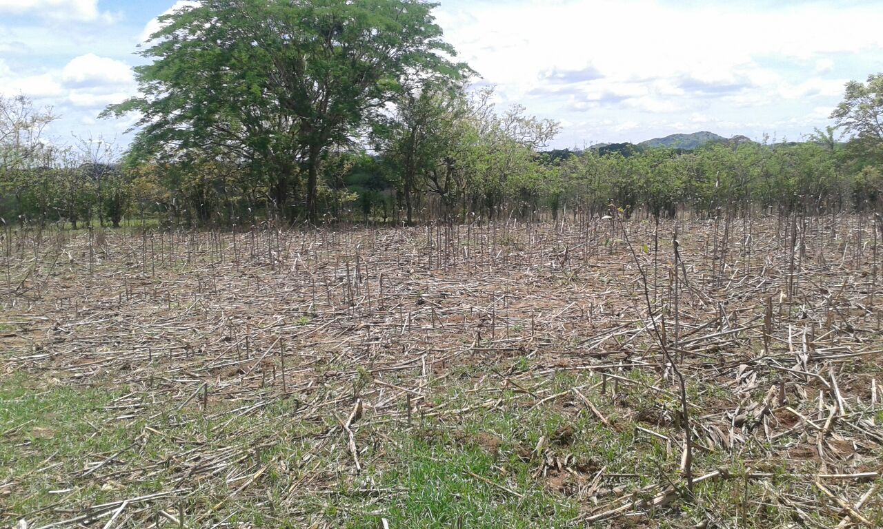 VIP Housing | Bienes Raices y Relocation