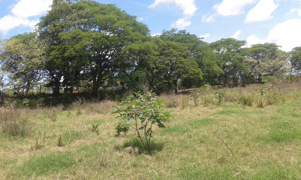 VIP Housing | Bienes Raices y Relocation