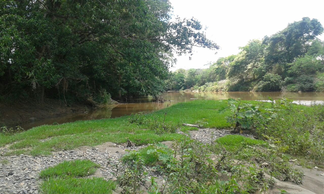 VIP Housing | Bienes Raices y Relocation