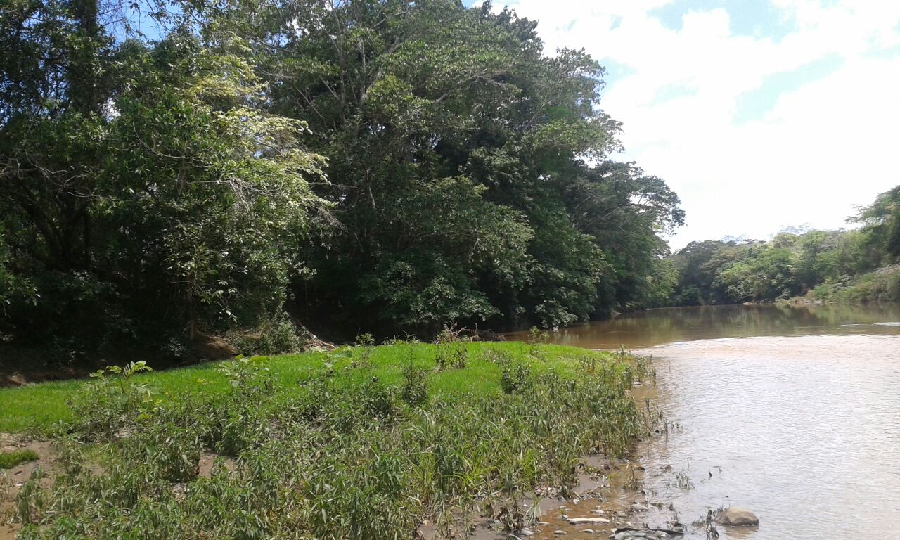 VIP Housing | Bienes Raices y Relocation