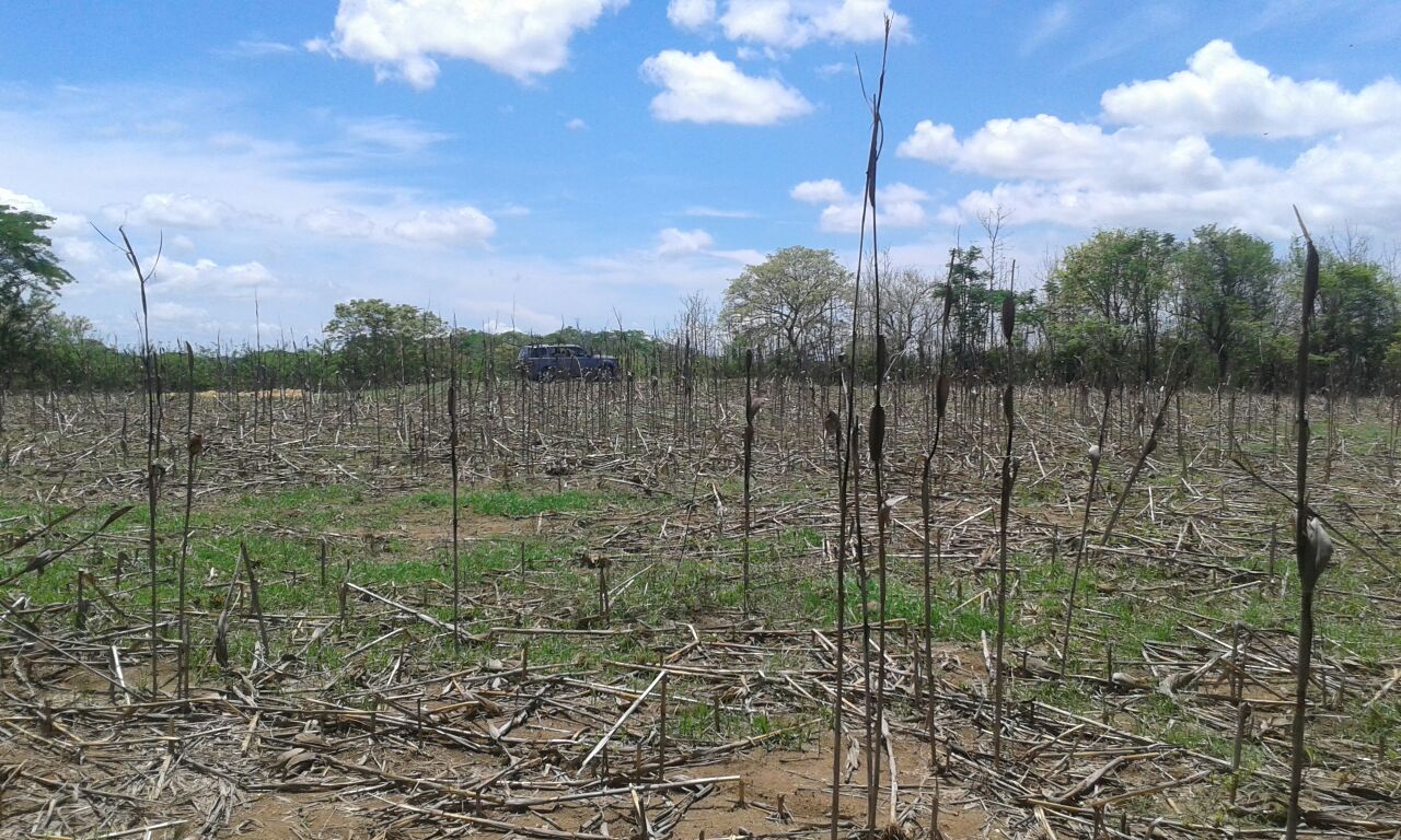 VIP Housing | Bienes Raices y Relocation