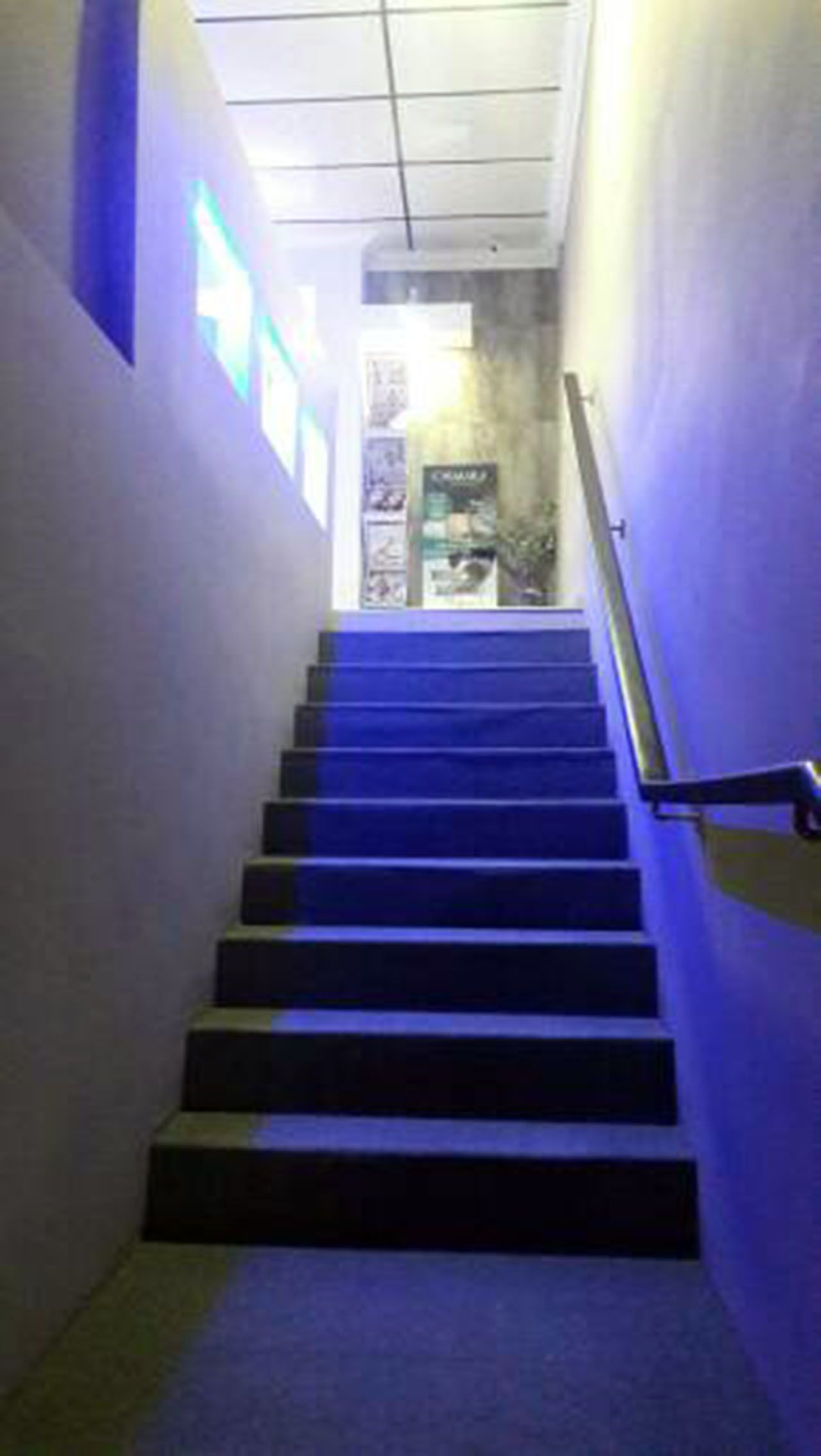 VIP Housing | Bienes Raices y Relocation