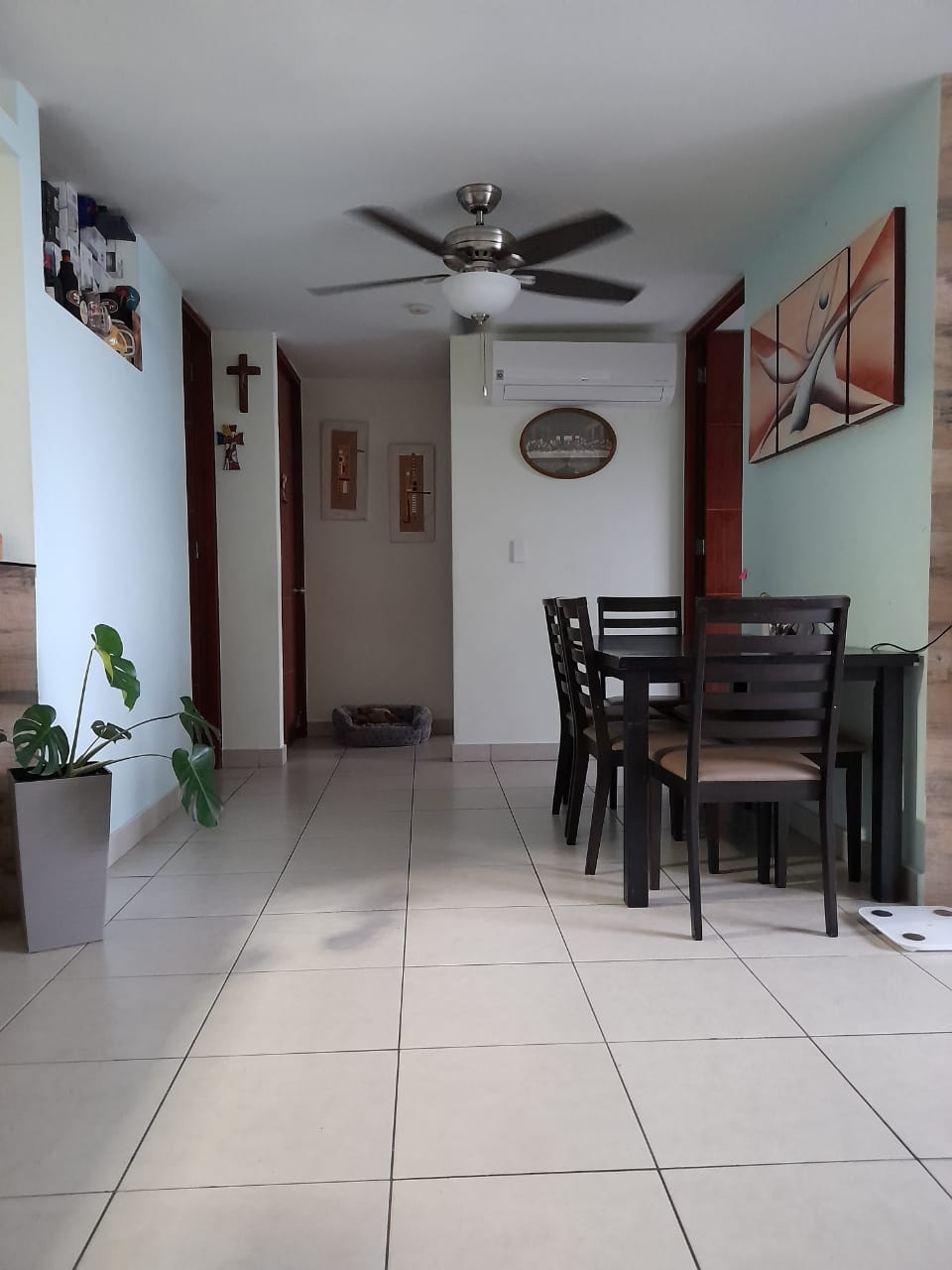 VIP Housing | Bienes Raices y Relocation