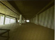 VIP Housing | Bienes Raices y Relocation