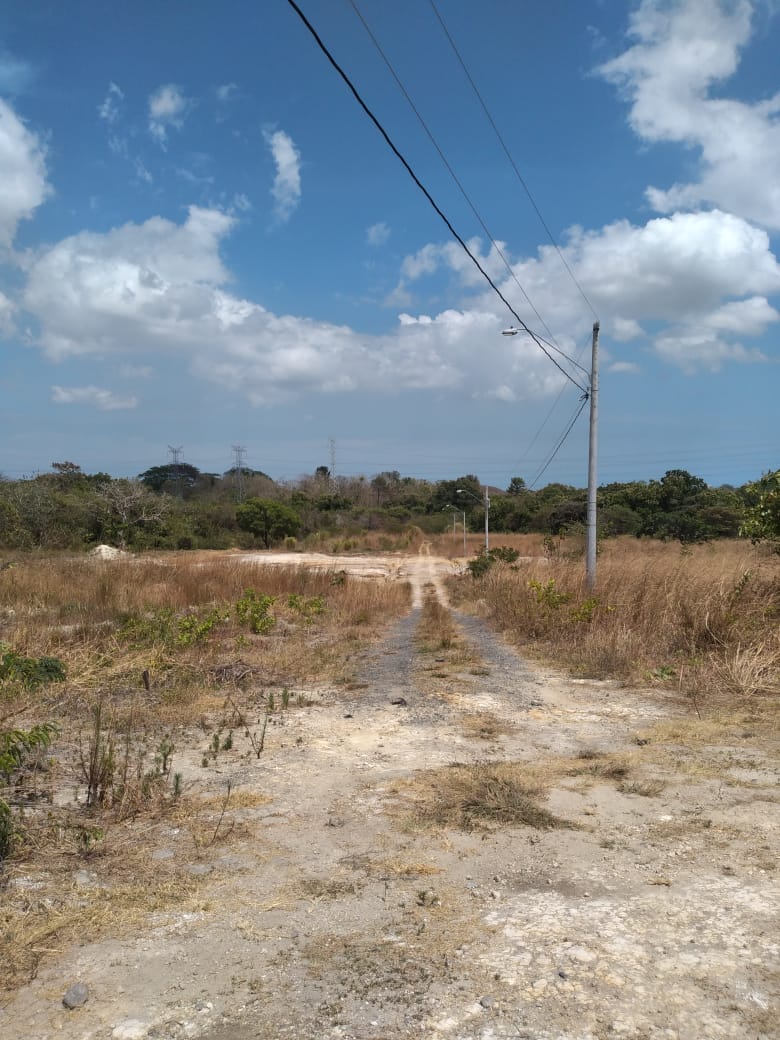 VIP Housing | Bienes Raices y Relocation