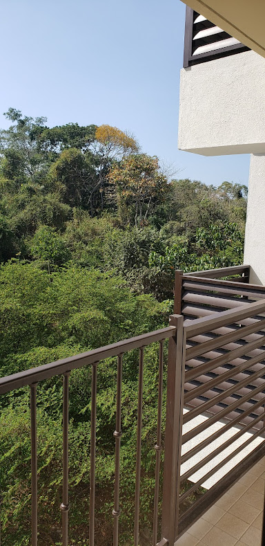 VIP Housing | Bienes Raices y Relocation