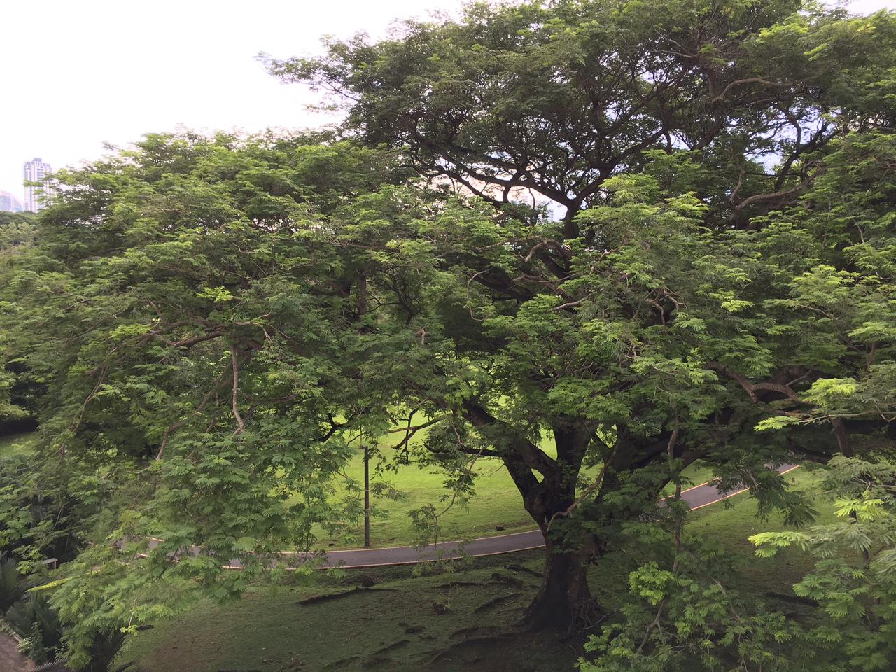 VIP Housing | Bienes Raices y Relocation