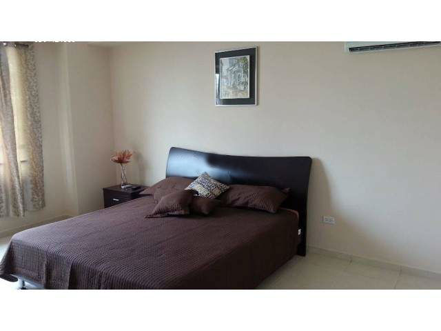 VIP Housing | Bienes Raices y Relocation