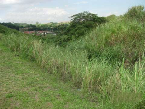 VIP Housing | Bienes Raices y Relocation