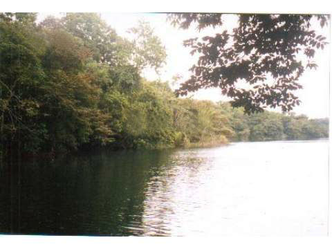 VIP Housing | Bienes Raices y Relocation