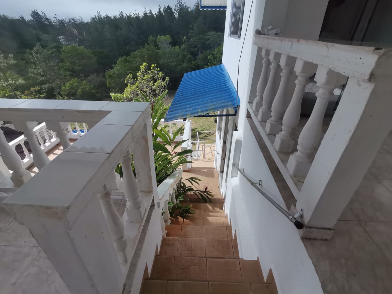 VIP Housing | Bienes Raices y Relocation