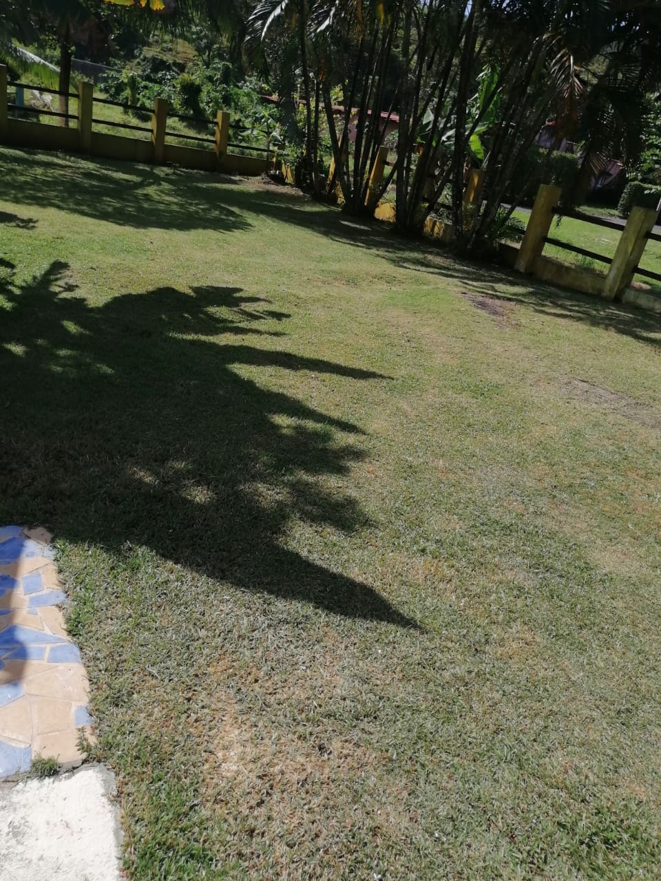 VIP Housing | Bienes Raices y Relocation