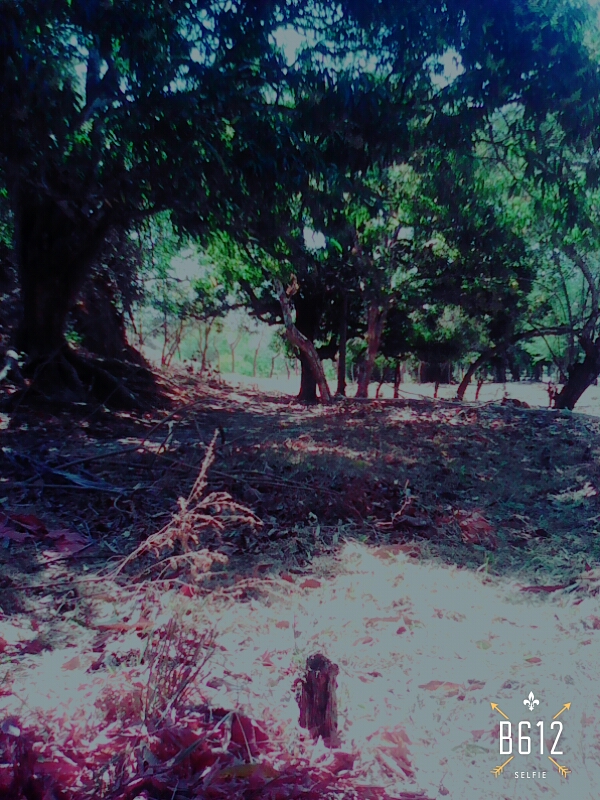 VIP Housing | Bienes Raices y Relocation