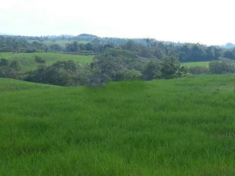 VIP Housing | Bienes Raices y Relocation