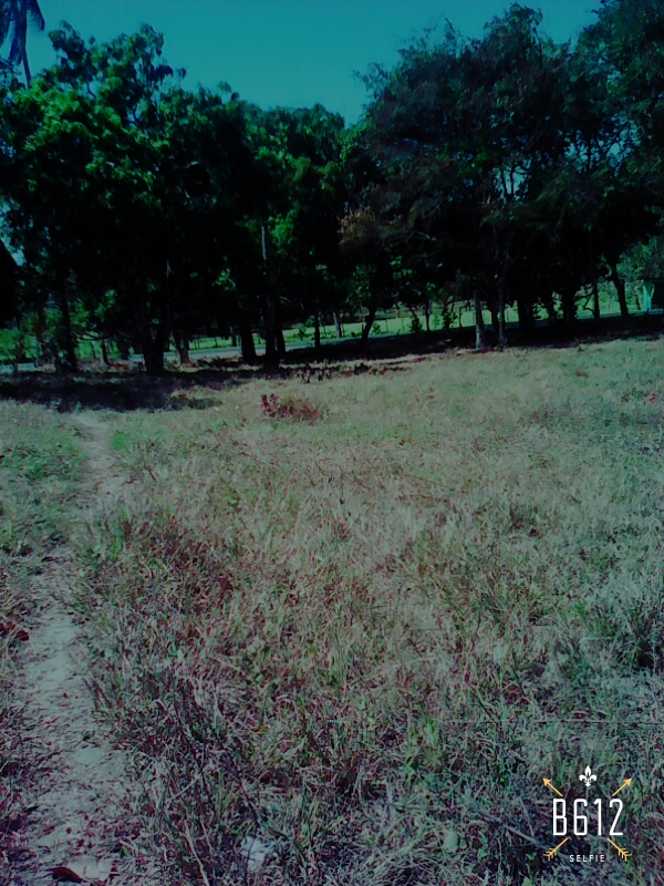 VIP Housing | Bienes Raices y Relocation