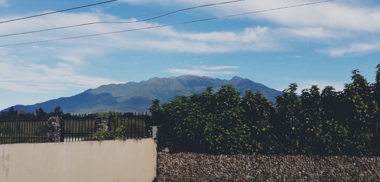 VIP Housing | Bienes Raices y Relocation