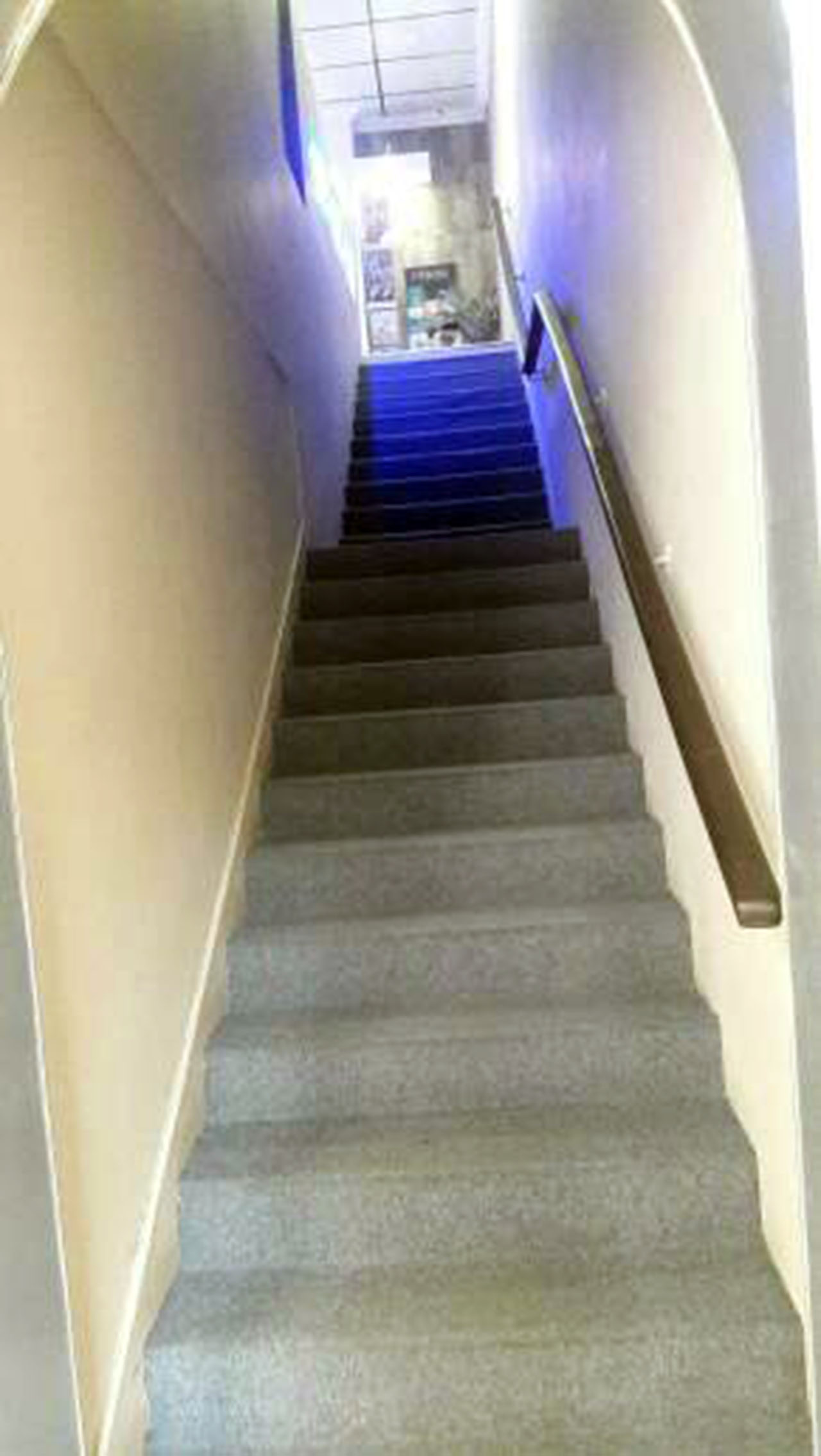 VIP Housing | Bienes Raices y Relocation