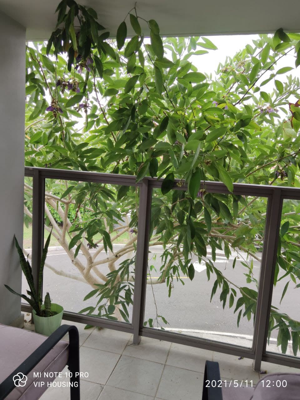 VIP Housing | Bienes Raices y Relocation