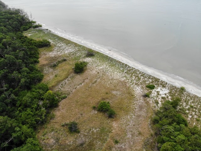 VIP Housing | Bienes Raices y Relocation