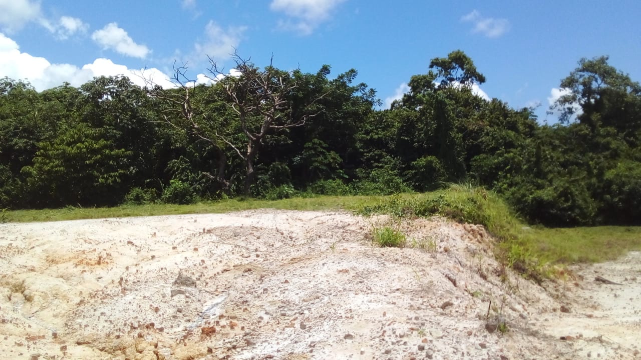 VIP Housing | Bienes Raices y Relocation