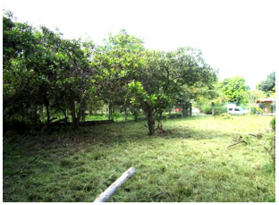 VIP Housing | Bienes Raices y Relocation