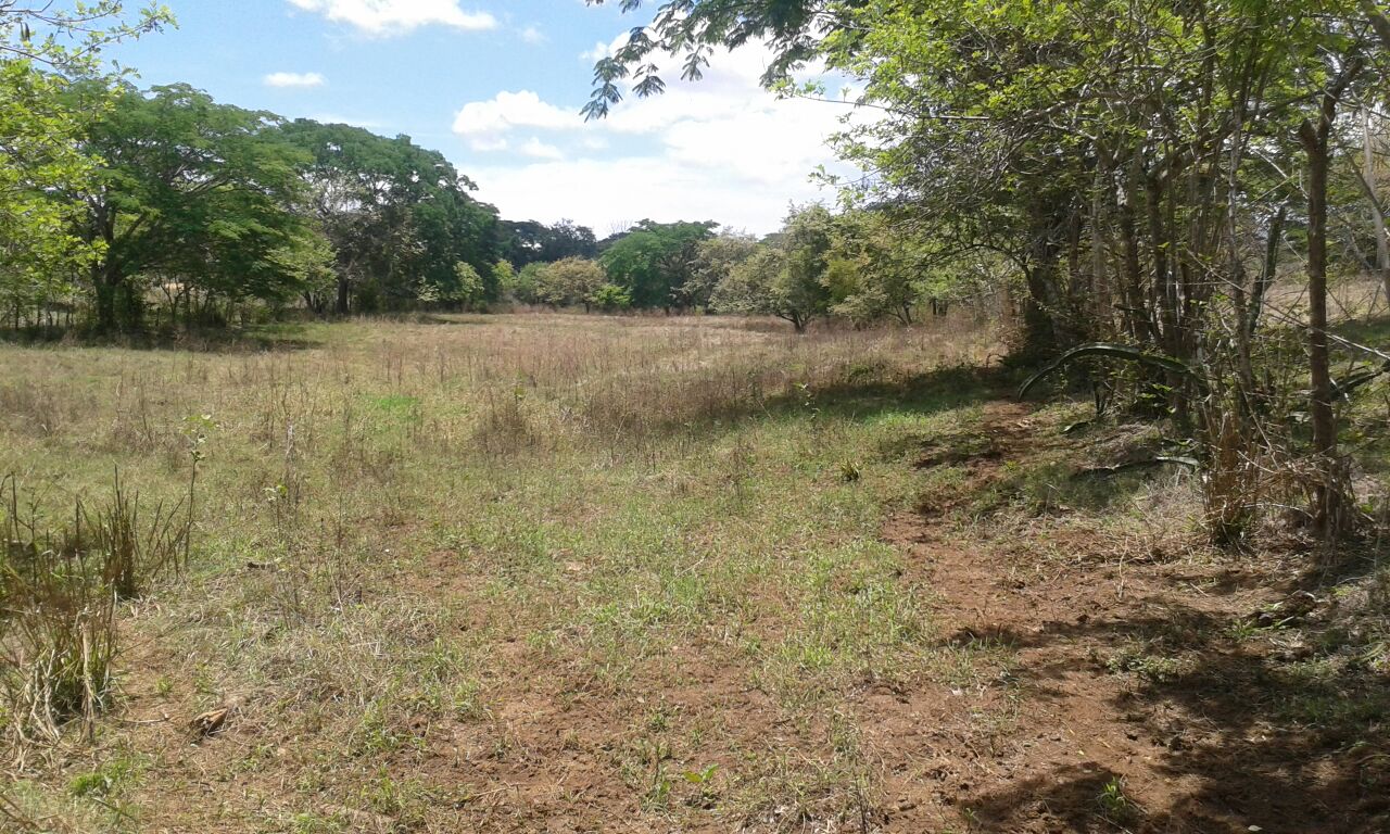 VIP Housing | Bienes Raices y Relocation