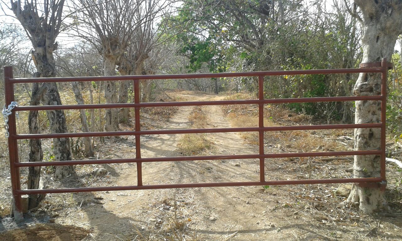 VIP Housing | Bienes Raices y Relocation