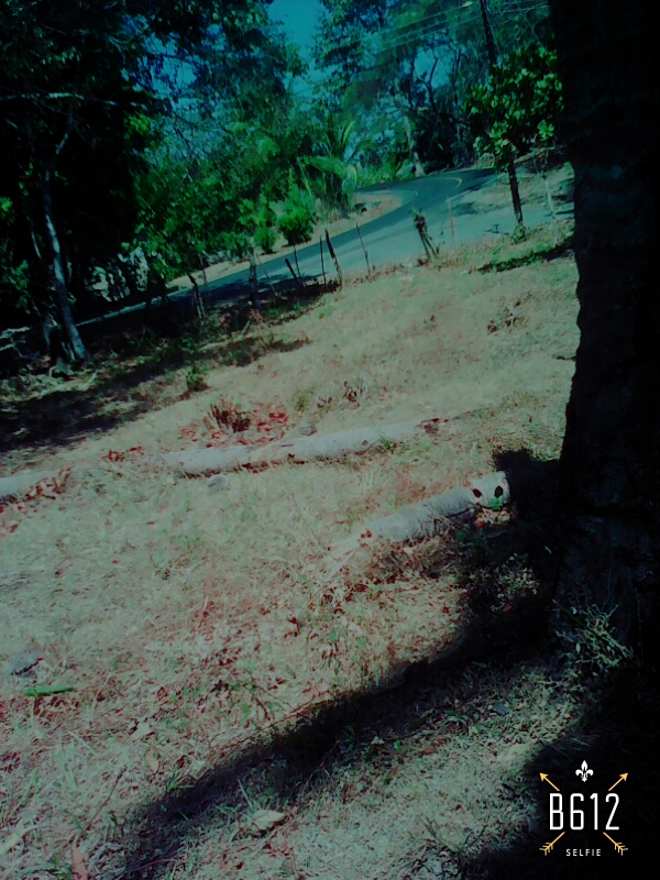 VIP Housing | Bienes Raices y Relocation