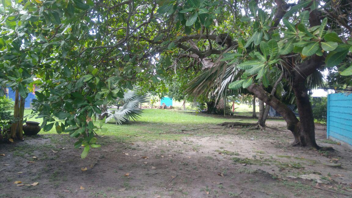 VIP Housing | Bienes Raices y Relocation