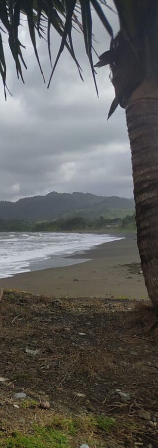 VIP Housing | Bienes Raices y Relocation