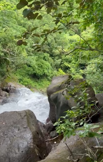 VIP Housing | Bienes Raices y Relocation