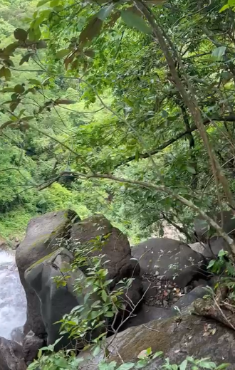 VIP Housing | Bienes Raices y Relocation