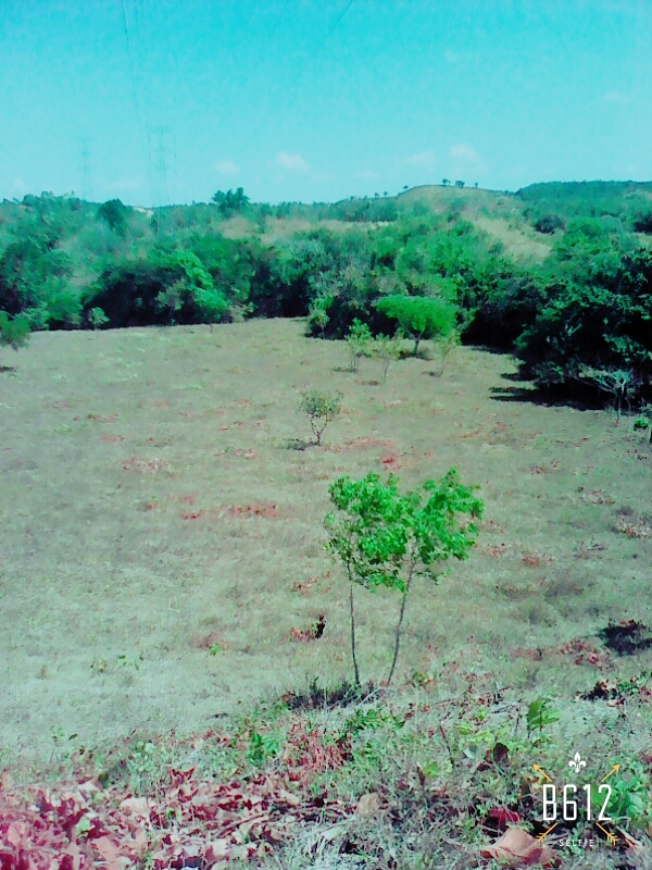 VIP Housing | Bienes Raices y Relocation