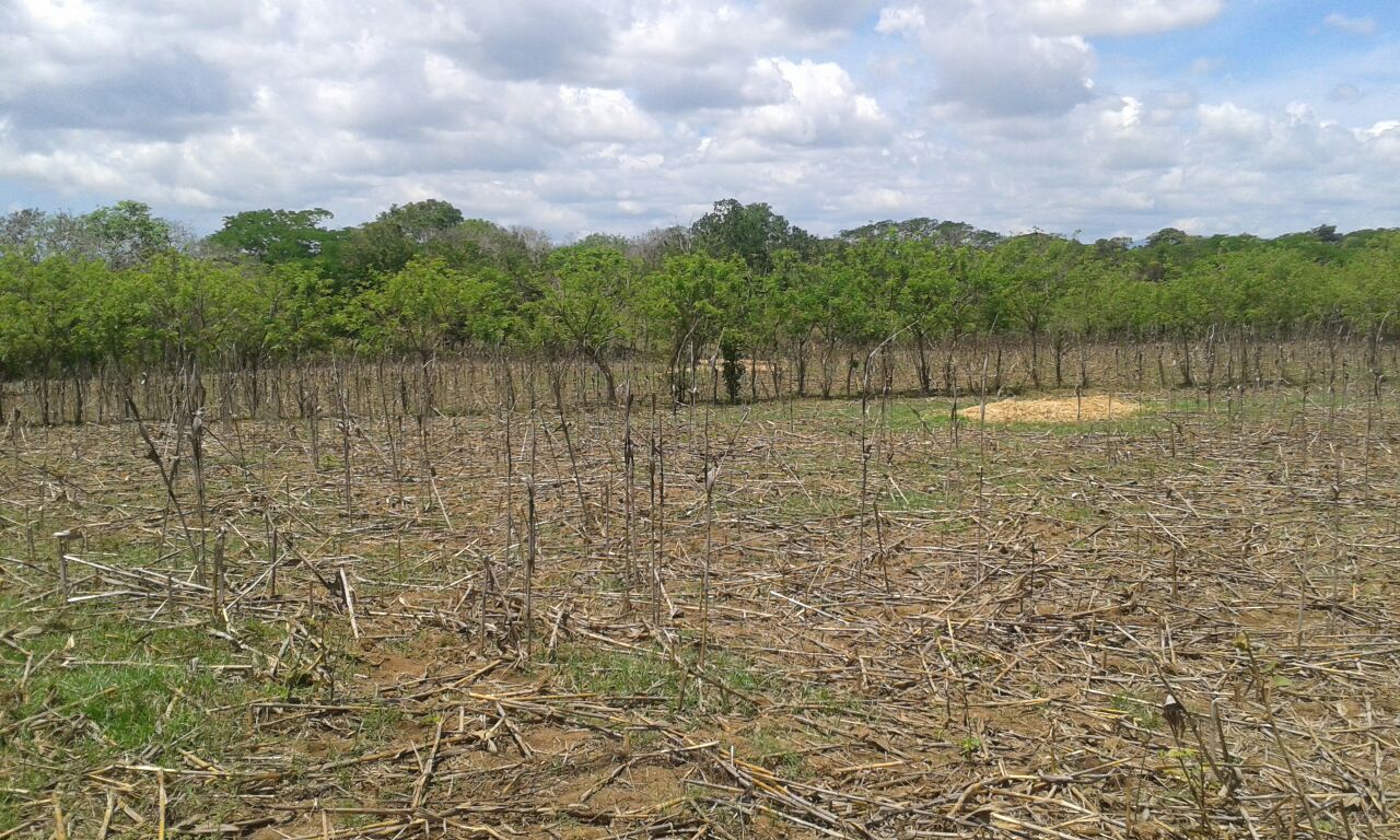 VIP Housing | Bienes Raices y Relocation