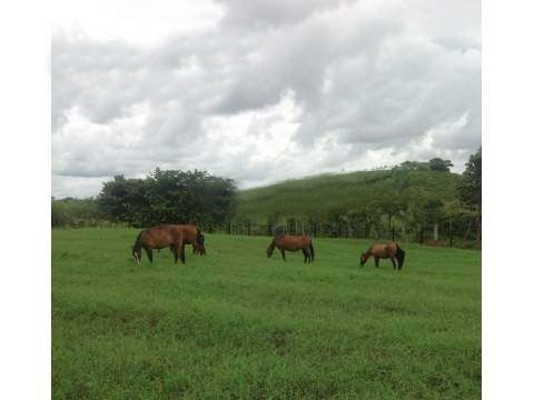 VIP Housing | Bienes Raices y Relocation